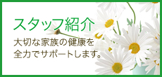 スタッフ紹介